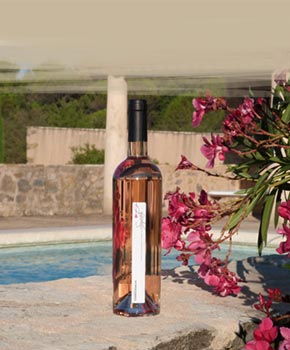 Le rosé du Vignoble